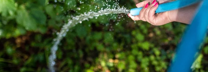 Hand gießt mit Gartenschlauch